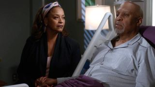 Debbie Allen and James Pickens Jr. on Grey's Anatomy