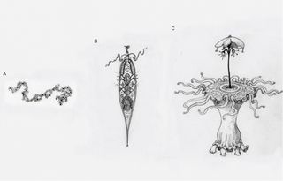 These illustrations represent different levels of adaptive complexity that alien life may go through, ranging from a simple replicating molecule, with no apparent design (a), to a simple, cell-like entity that undergoes natural selection (b), to an alien with many intricate parts working together (c).