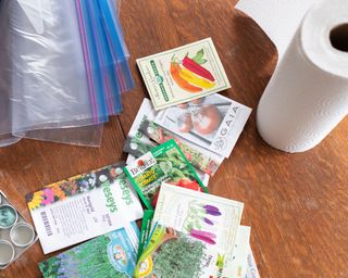 Seed starting equipment with ziploc bags, paper towel, and seeds