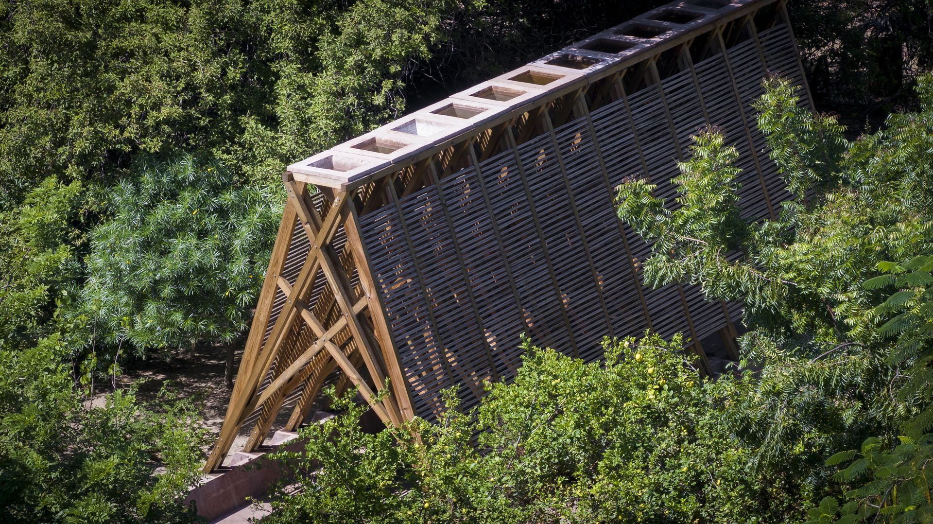 aerial close up of Orchid Pavilion among trees