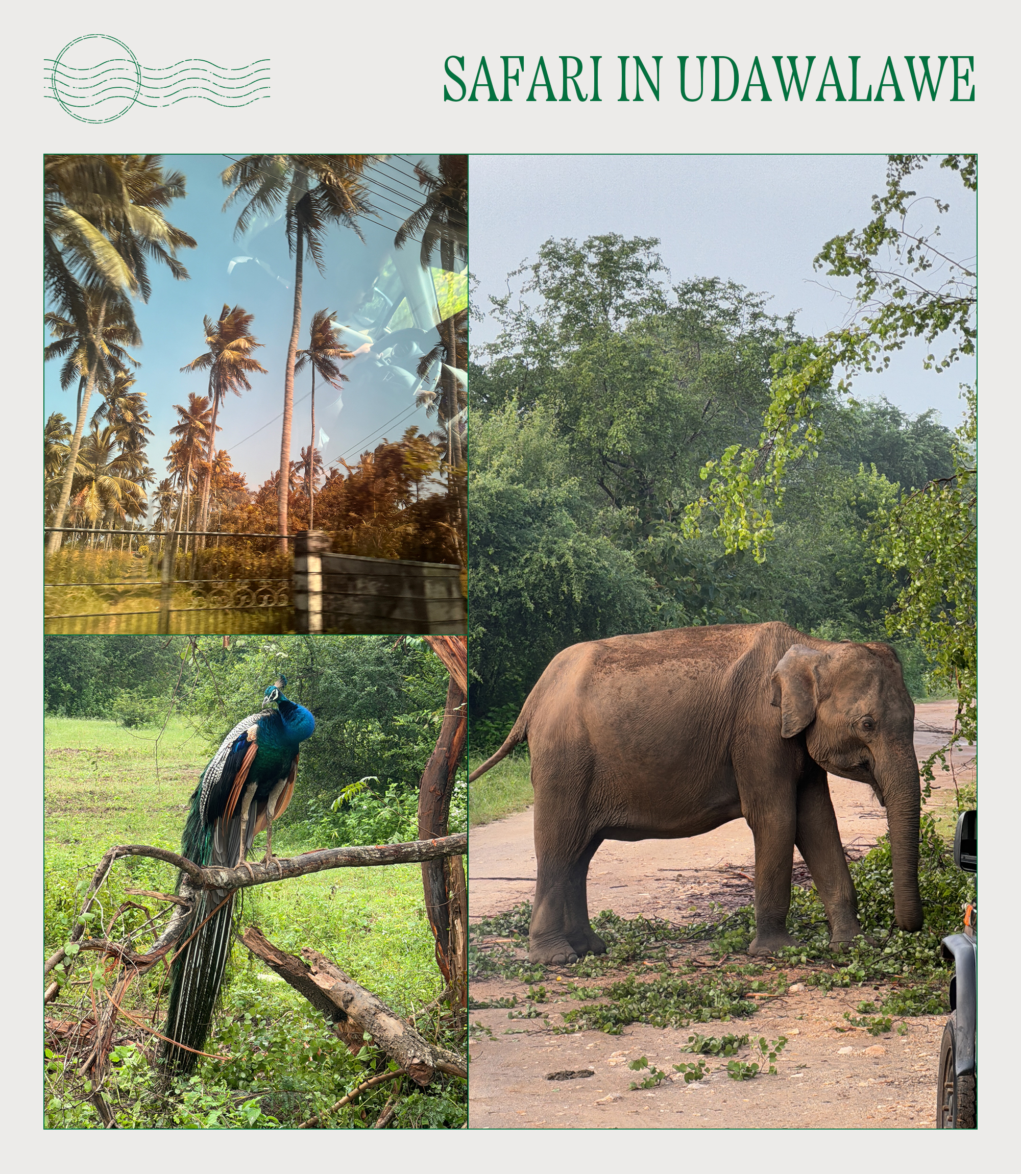travel guide to Sri Lanka's south coast