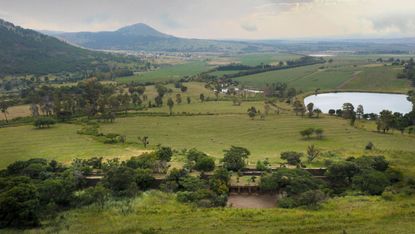 Coromandel House in South Africa by Marco Zanuso, engulfed in greenery