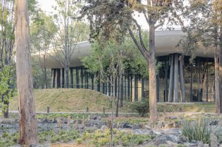scenic garden in mexico city, greenery and built structure with glazing