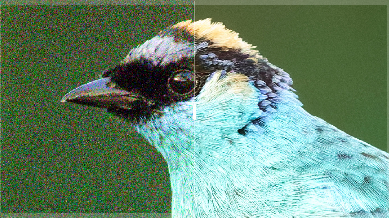 DxO PureRAW 6 screenshot