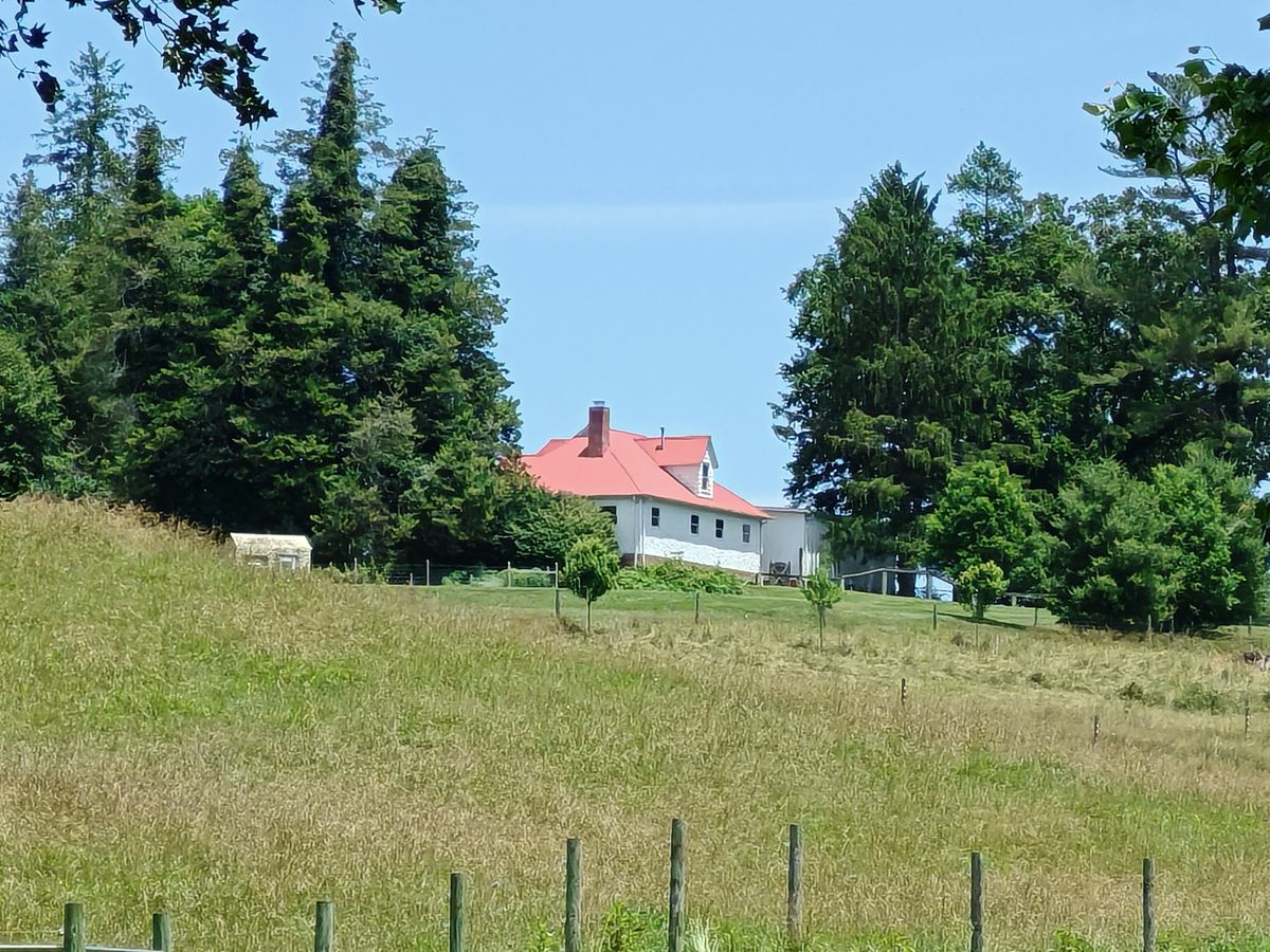 A 10x zoom camera sample from the Honor 200 Pro