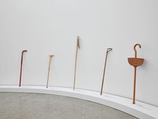 Walking Sticks on show at MillerKnoll, New York