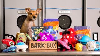 BarkBox dog subscription box