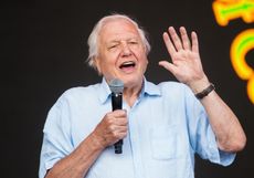 David Attenborough at Glastonbury festival 2019