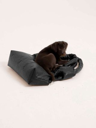 Black oiled canvas dog carrier tote bag by Kassel Editions with brown lab sitting on top of it