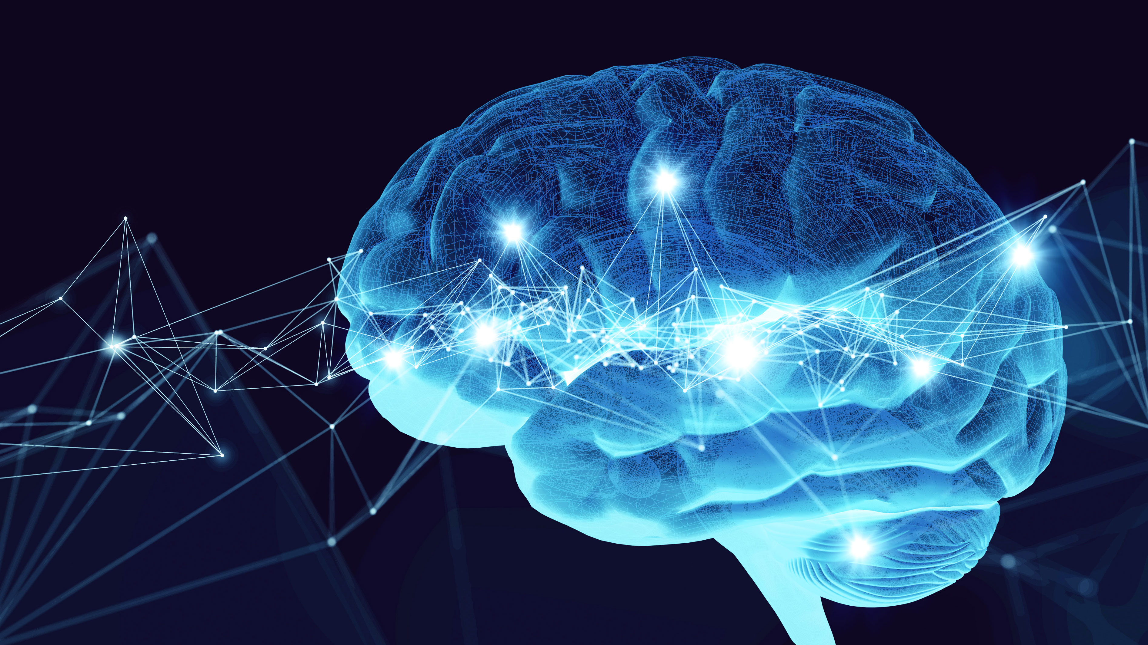 artificial neural network brain