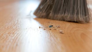 sweeping brush with crumbs on floor