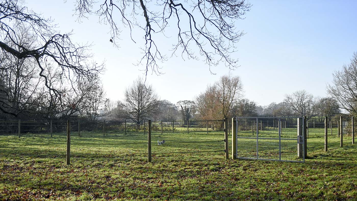 Breen Stud visit at Hickstead December 2018