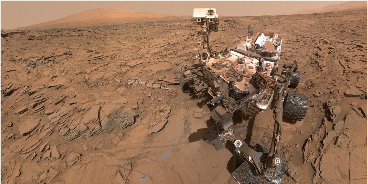 Curiosity selfie