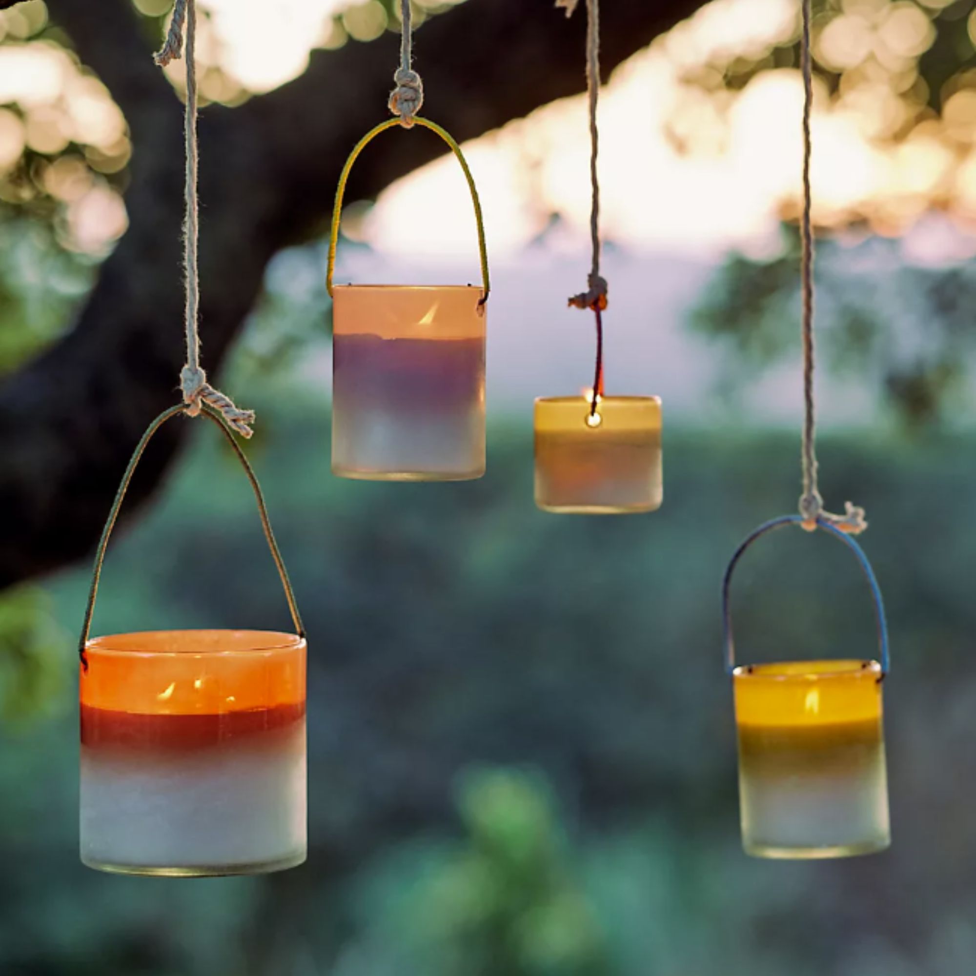 Candles hanging from a tree branch