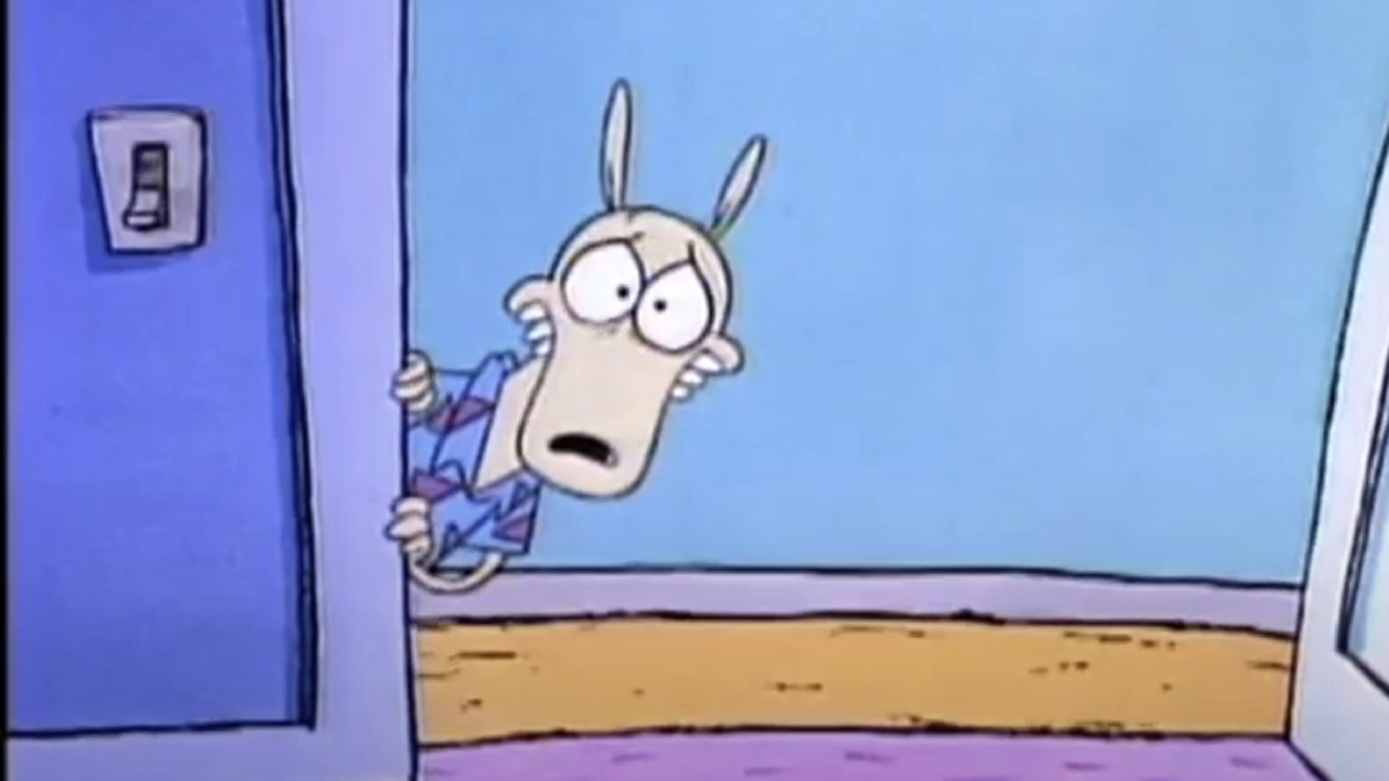 Rocko looking unsettled on Rocko's Modern Life