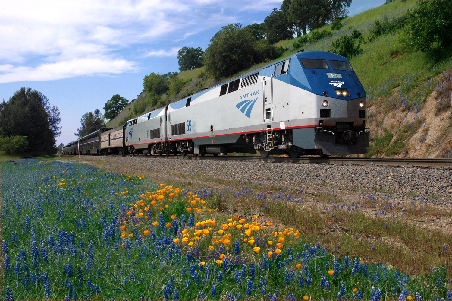 A California Zephyr train passes by colorful wildflowers
