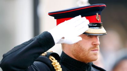 Prince Harry, Duke of Sussex attends the opening of the Field of Remembrance at Westminster Abbey on November 8, 2018 in London, England