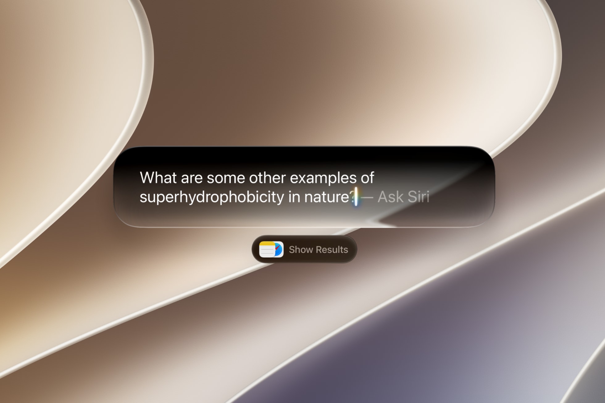Siri AI on iPad