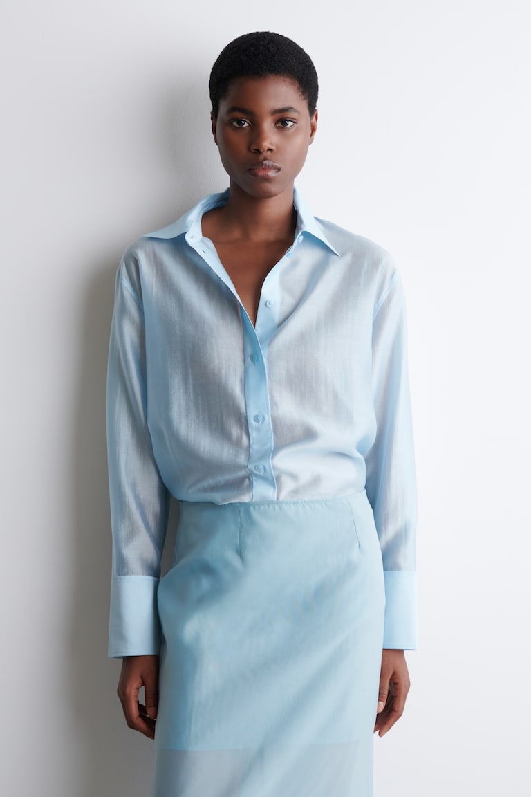 Sheer Shirt