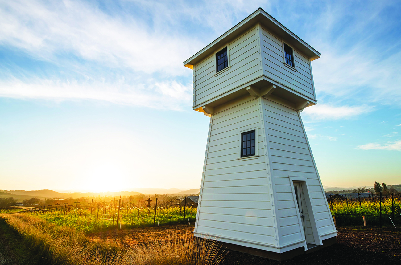 Silver Oak American oak in winemaking