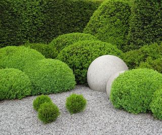 Evergreen shrubs surrounding two stone sculptures in a garden