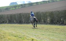 HorseNo432_Oasby15pn_3761.jpg