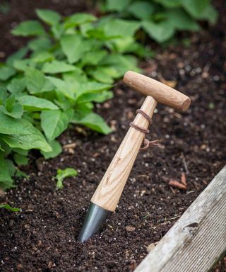 bulb planting tool from garden trading