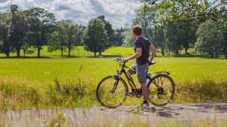 Electric bike