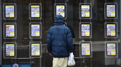 Person looking in an estate agent's window