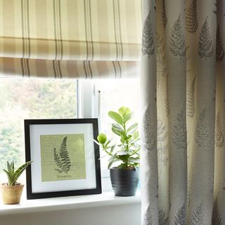 window with curtain and frame with potted plant