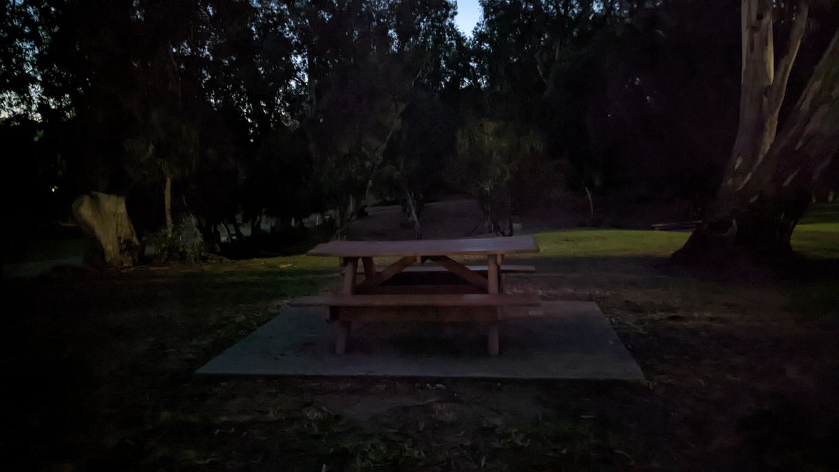 Google Pixel 6 Pro camera samples