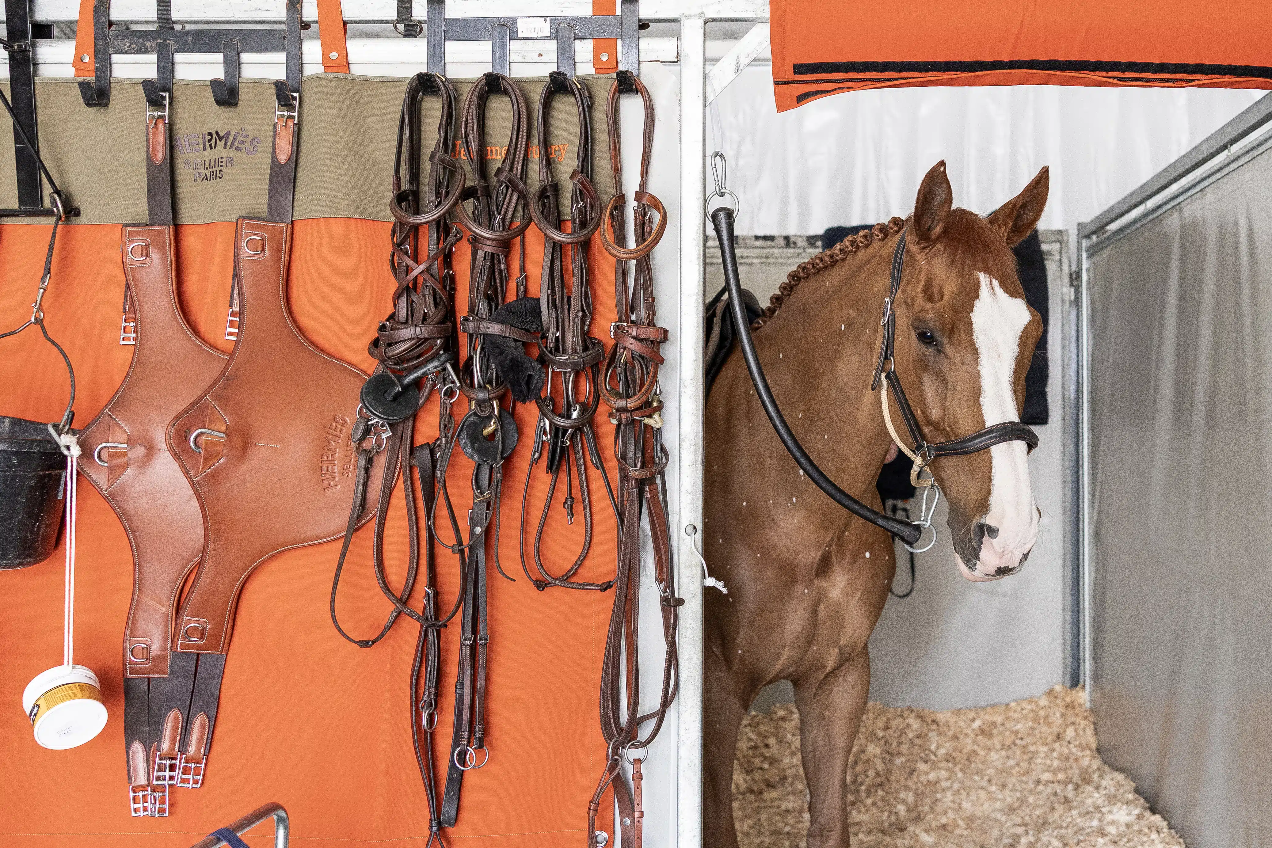 Horse and tack in a stable