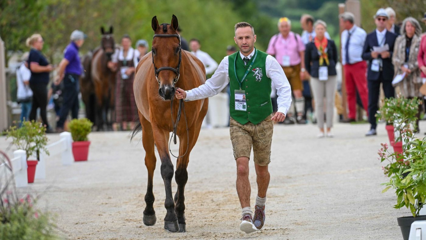 Daniel DUNST riding CHEVALIER 97 for AUT during the 1st Horse Inspection at the FEI Eventing European Championship in Haras du Pin in Normandy in France between the 9th-13th August 2023