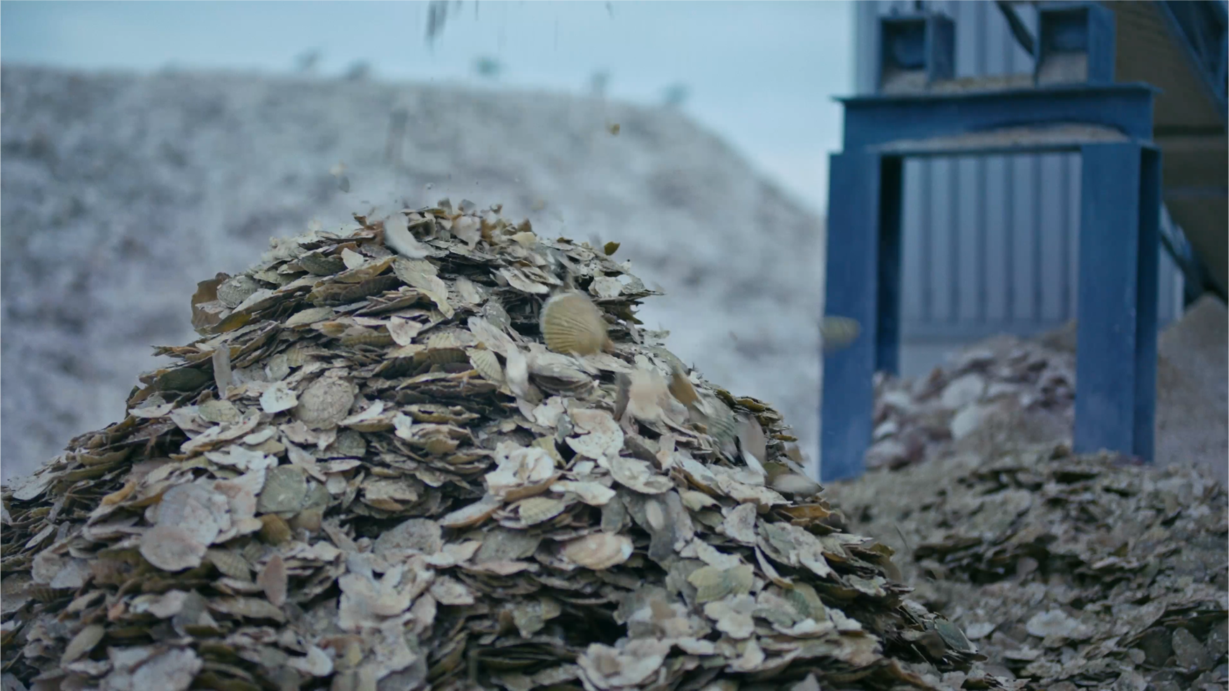 Shell Structures Helmets Shellmet: the helmet made from waste scallop shells | Wallpaper