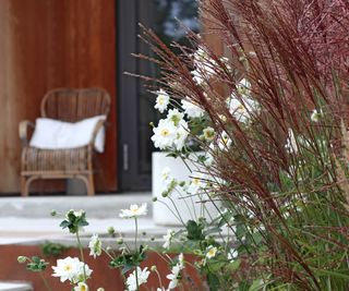 white anemones and grasses in garden designed by Annika Zetterman