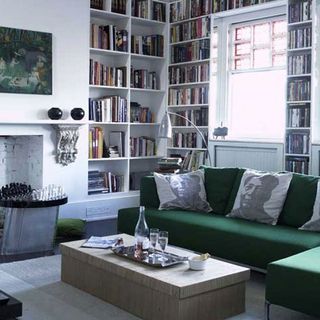 living room with couch and cushions along with books shelves