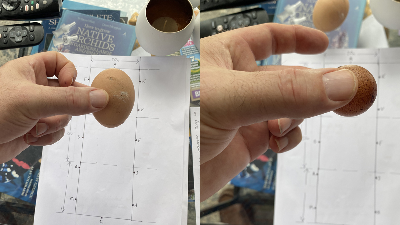 egg1-copy.jpg