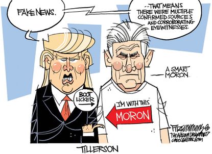 Political cartoon U.S. Rex Tillerson Trump moron fake news