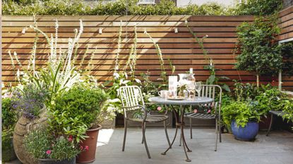 Garden patio with wood panelled walls and a small bistro set, surrounded by potted plants