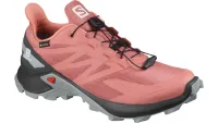 Salomon SUPERCROSS BLAST GTX W running shoe for women