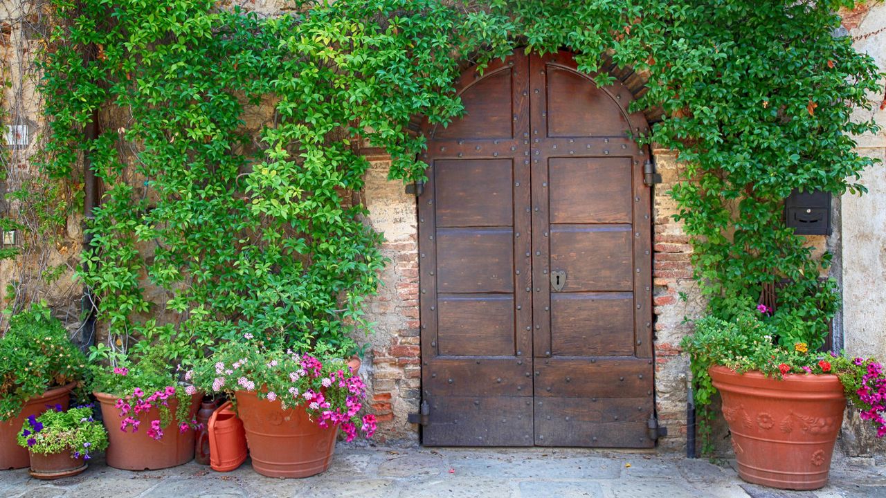 garden with brick wall, aged wooden door and clay pots