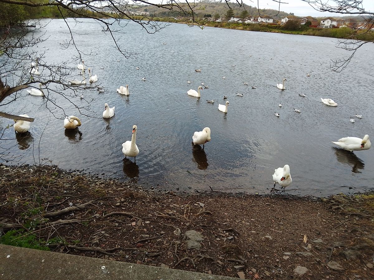 A Nokia G11 camera sample
