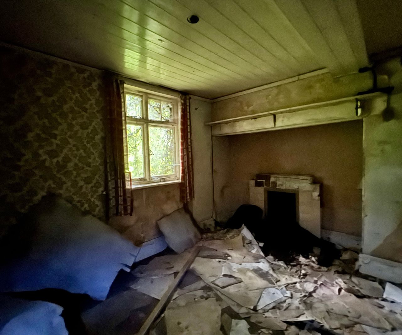 A dark room with a window showing ivy growing on the outside