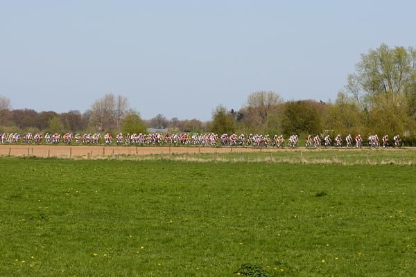 Blue skies and green trees in Gelderland