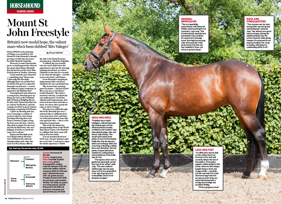 FT-2pp-Horse-hero-MSJ-Freestyle.jpg