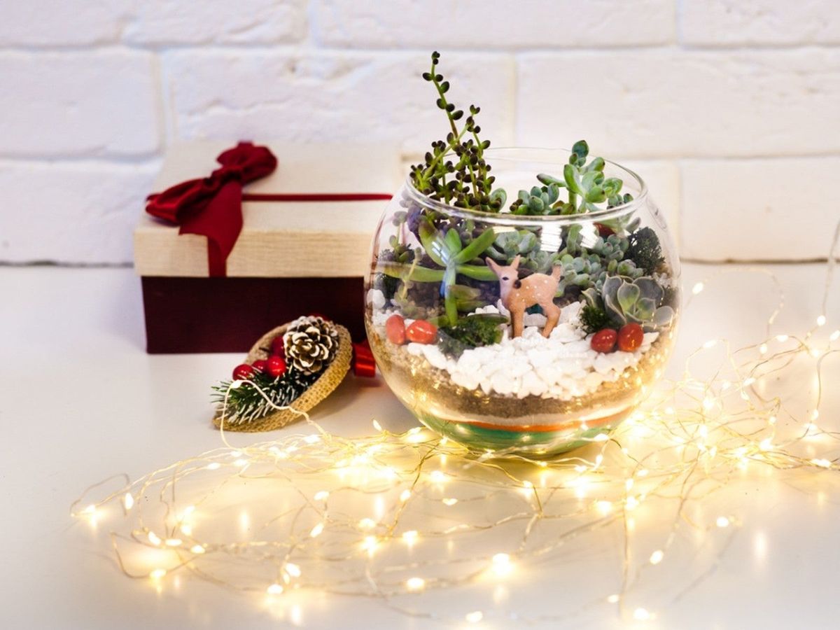 DIY Gift For Gardeners Making A Christmas Terrarium With Live Plants