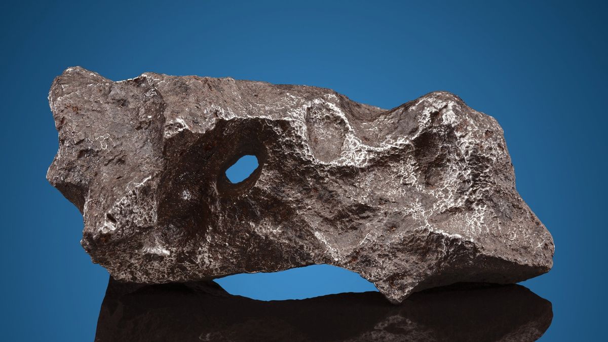 Más de 100 meteoritos recolectados por Jeffrey Notkin están listos para la acción hoy