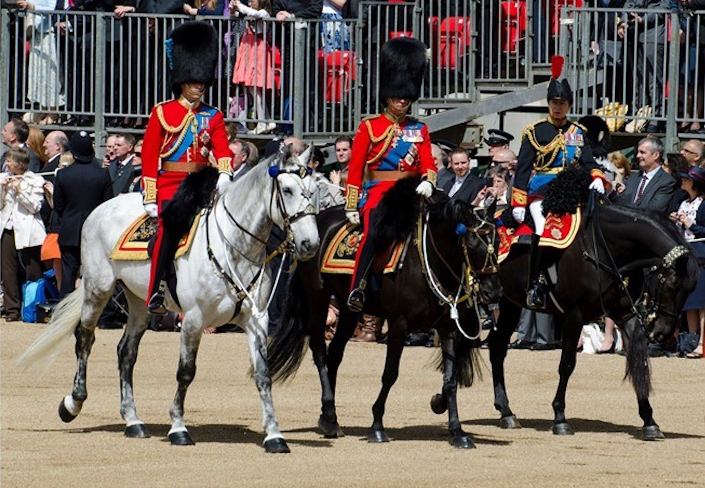 Elizabeth-Horse-Trust-2.jpeg