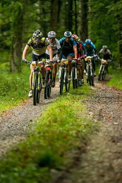 The leading group in the forest