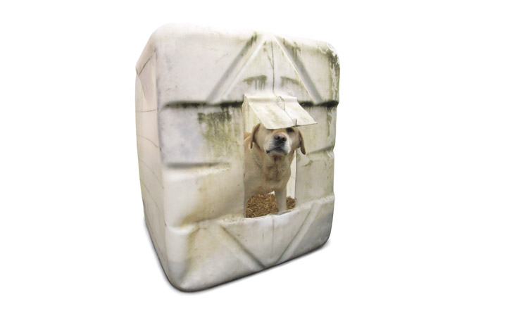 Kennel